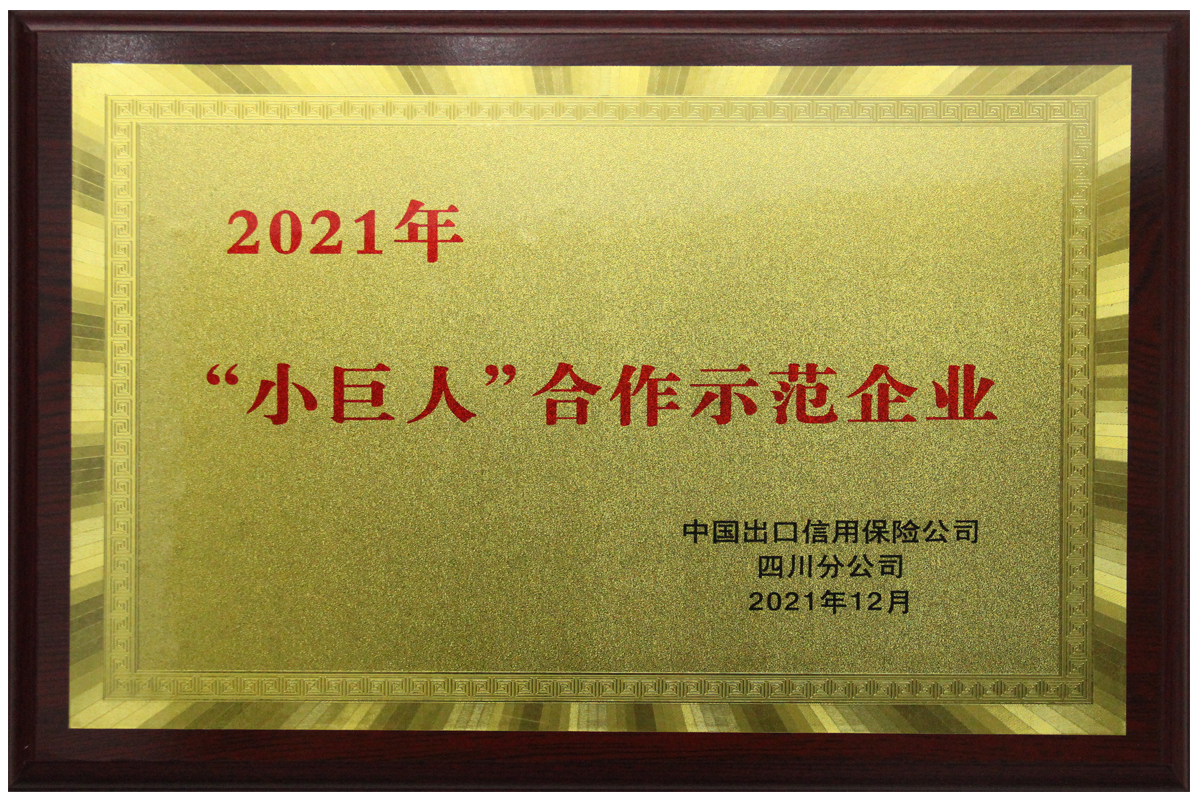 Empresa de demostración de cooperación 